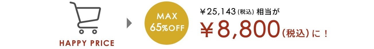 MAX65%OFF ￥25,143(税込)相当が8,800円(税込)に！