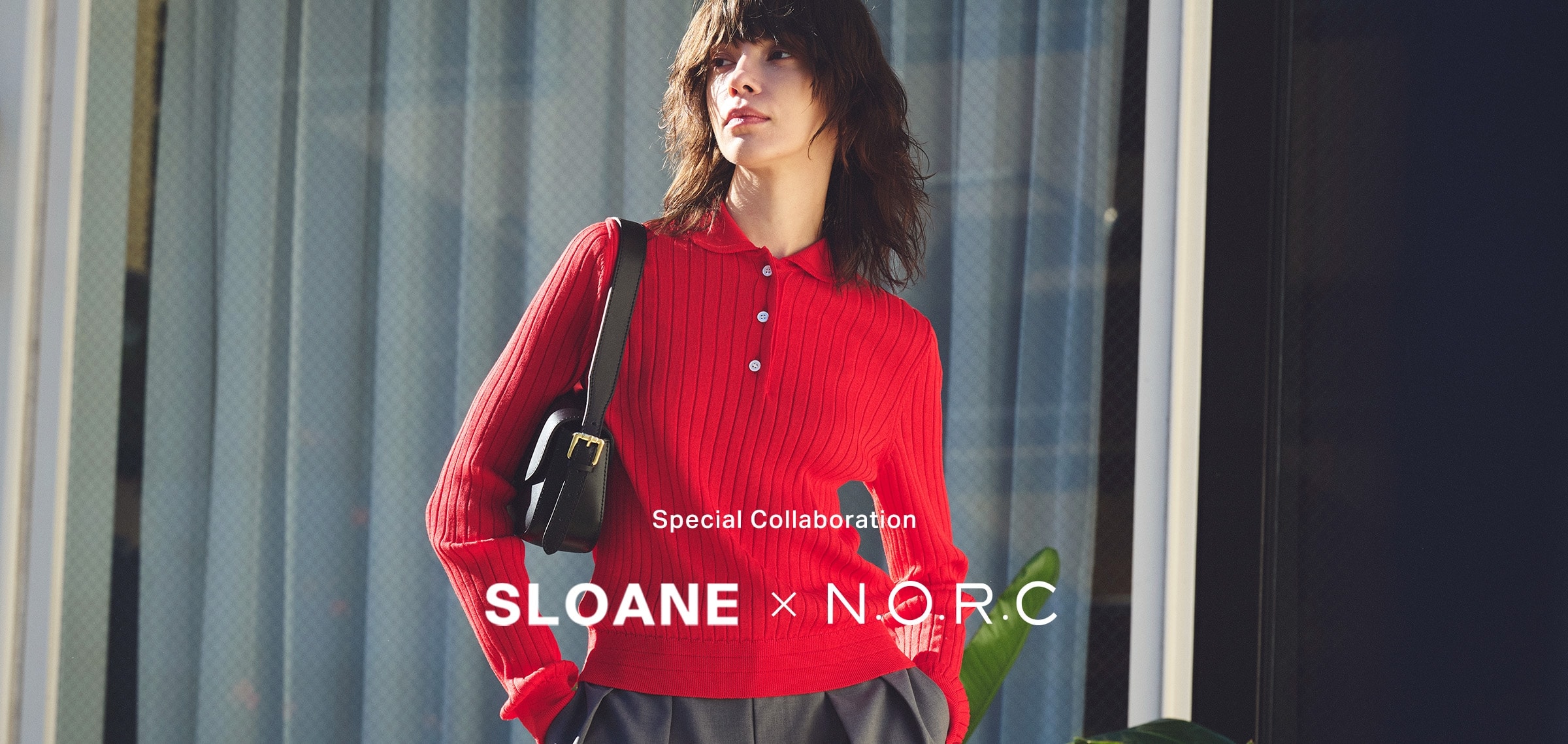 SLOANE × N.O.R.C